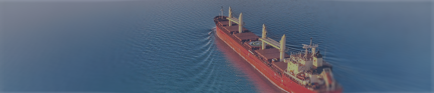 Cargo ship at sea